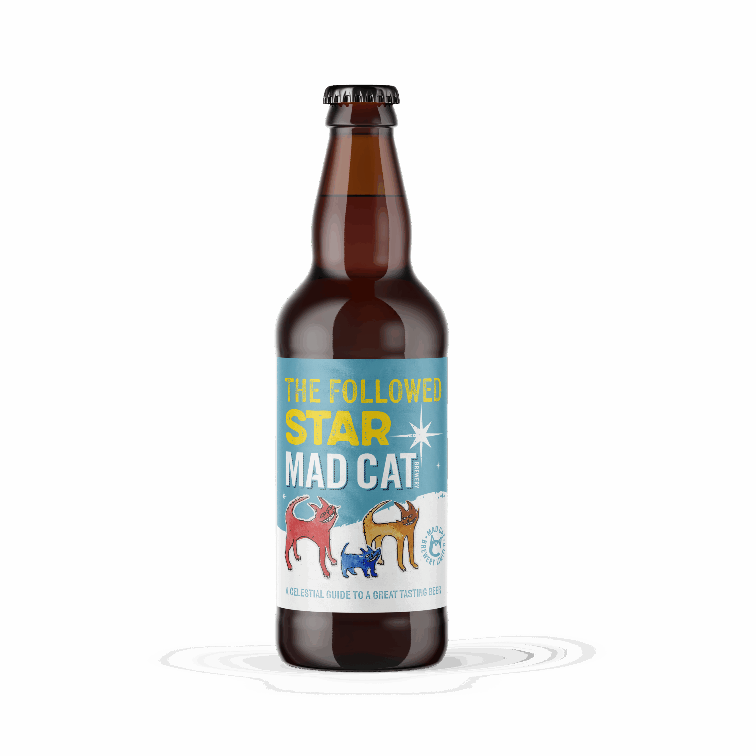 The Followed Star 4.2%  1 x 500ml bottle